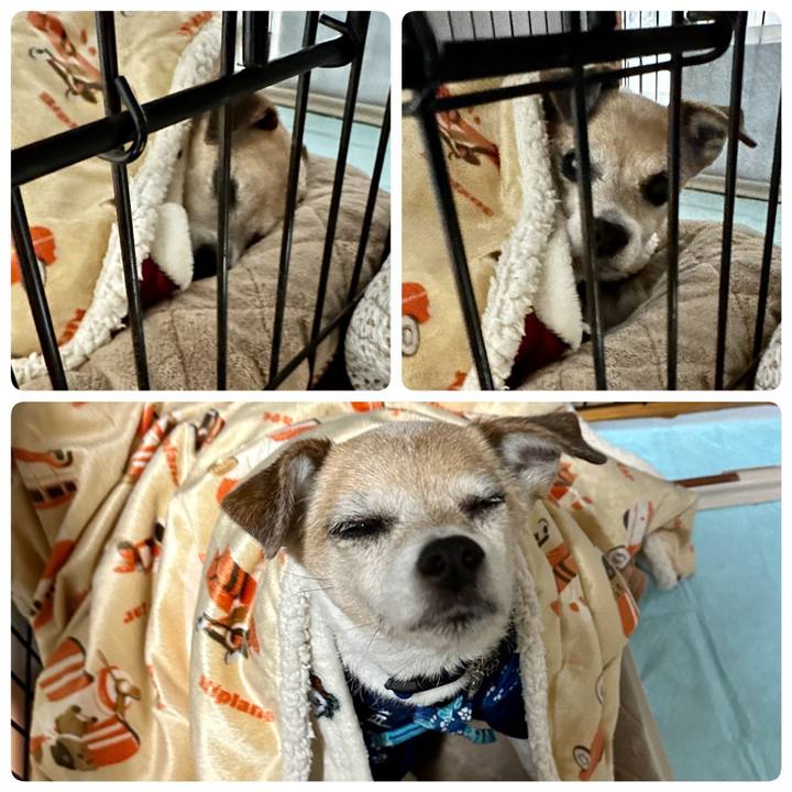 F4af429f 59cb 4085 a865 cd935971fd47 1678658404281