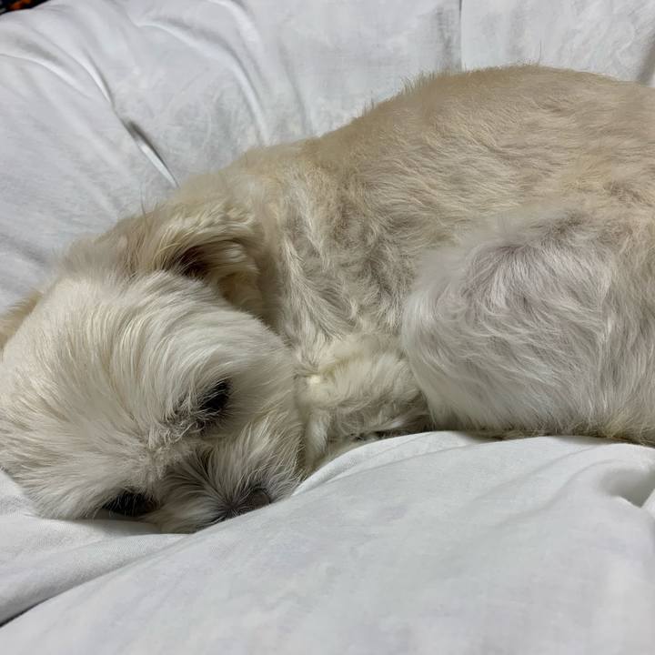 F4af50ab 5b84 4618 a9a2 7ec3ff582a9c 1634732119539