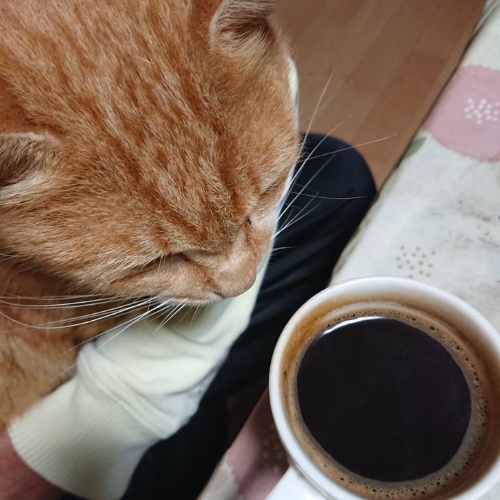 F4af8385 1c8f 405c 9387 4faa3f6bb523 1602014198378