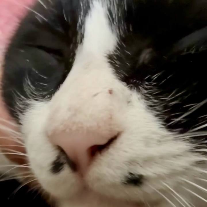 F4afd487 8707 44f7 836c d6fc16ec1f84 1760597307781