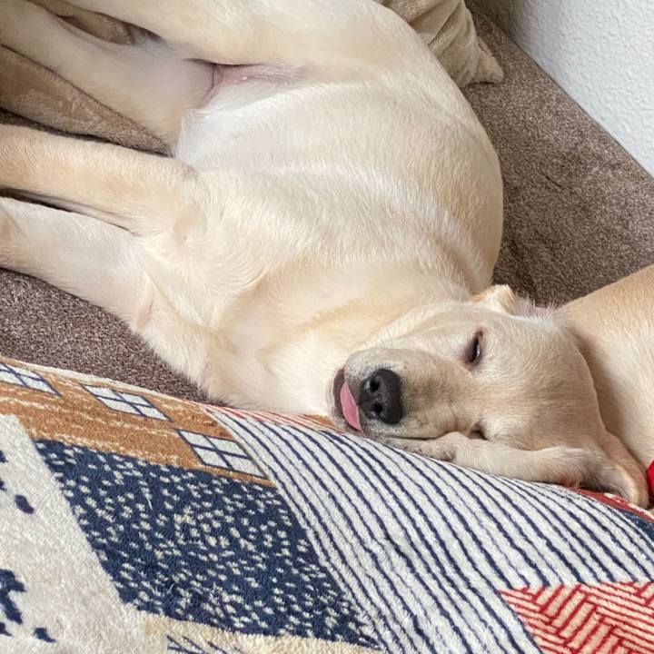 F4b035b8 d3f6 4ffb 9570 e65afc2da4cb 1614687841164