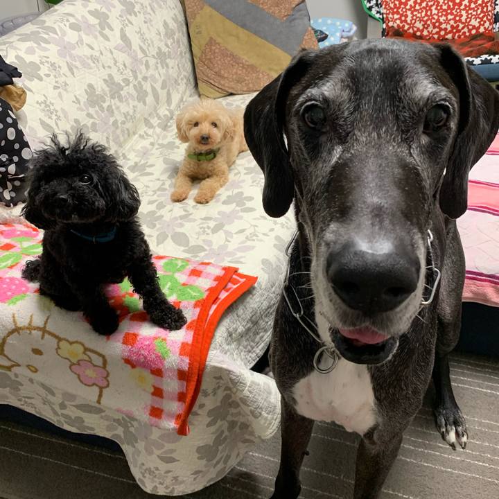 F4b05c6e 1983 42c1 a624 7726cd97cda7 1594939642142