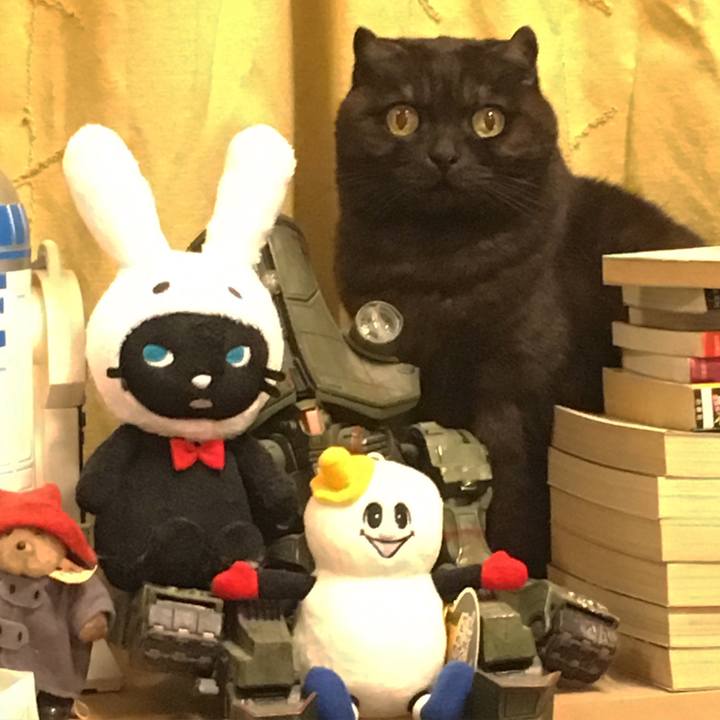 F4b05f54 4ffc 47ed a020 6cce34abf68c 1550404174542