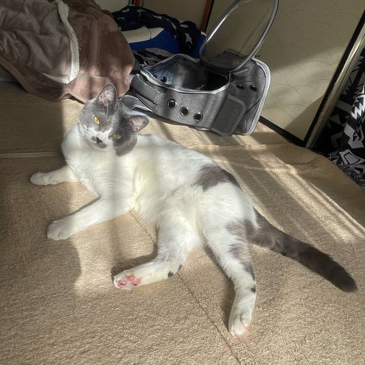 F4b075ba deca 4c5b a091 1b95a20cc2c2 1704165332963