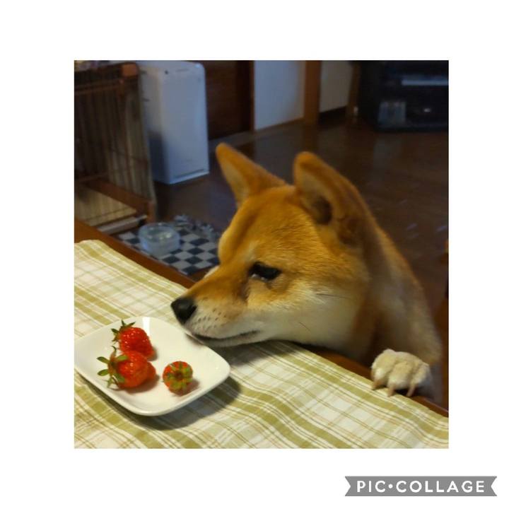 F4b09bbb 2a92 42f3 a647 5c33637bc125 1650922098031