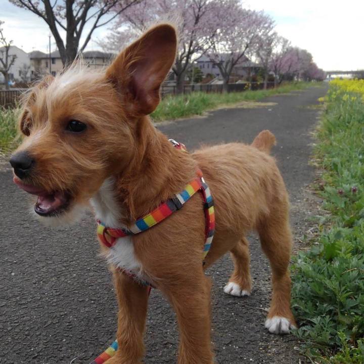 F4b0bf7d 9def 4fe3 83c8 44ddf6198492 1523573433146