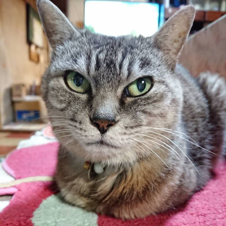 F4b16140 03a0 4f23 8175 e272d56da939 1569928861726