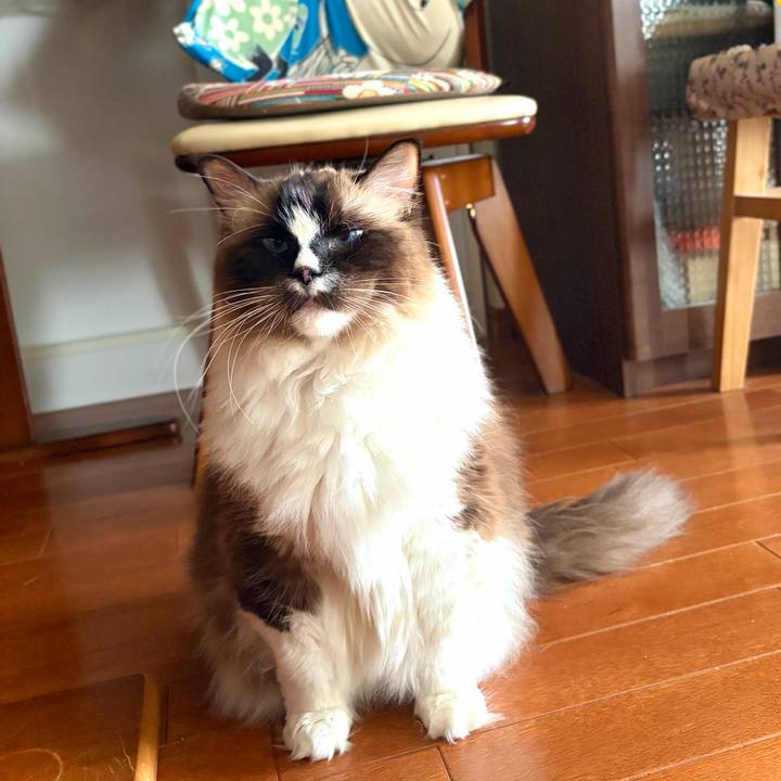 F4b16a39 996e 4fee a51e 9e9040885af1 1763957804087