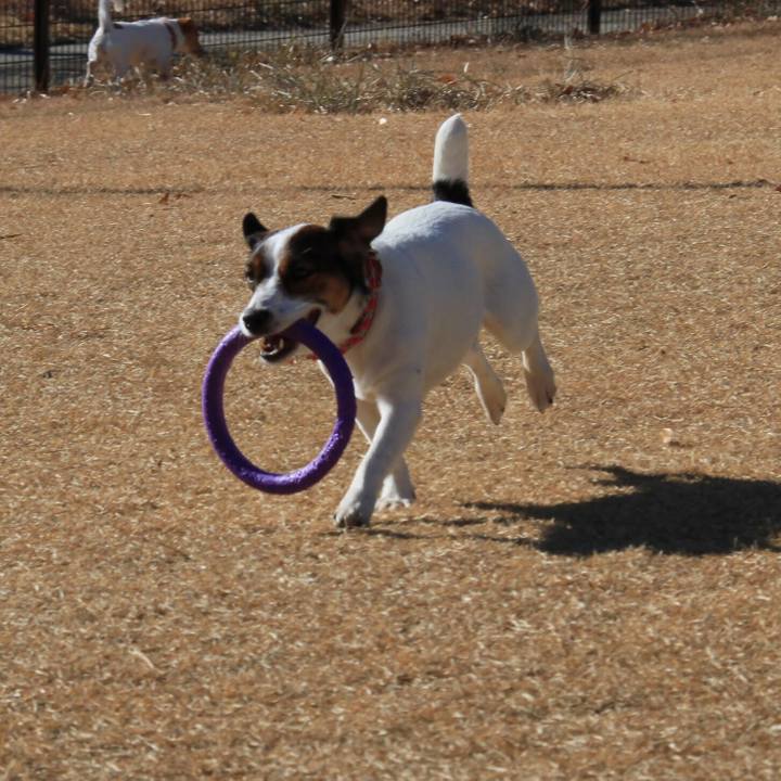 F4b17c80 4dda 4c7c ba23 184741832da3 1513502727945