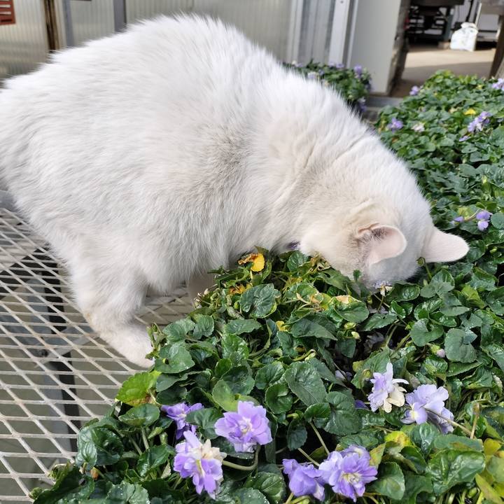 F4b18d8b f3b5 4aab 86bf a3b5f4c8cb52 1770777984896