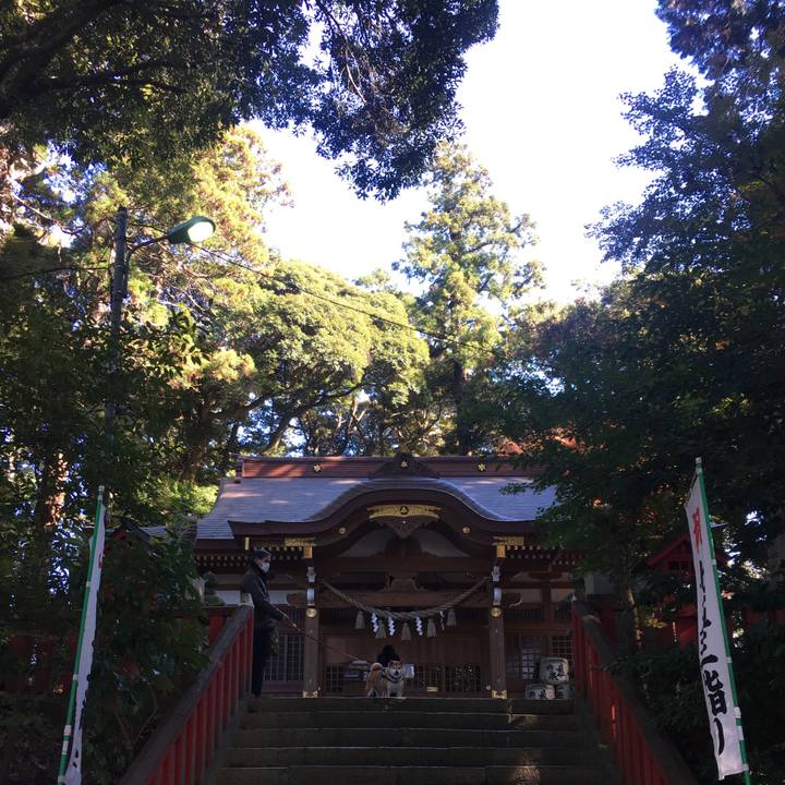 F4b18f24 2e5f 4af4 9ae3 b5b46d412132 1638737858318