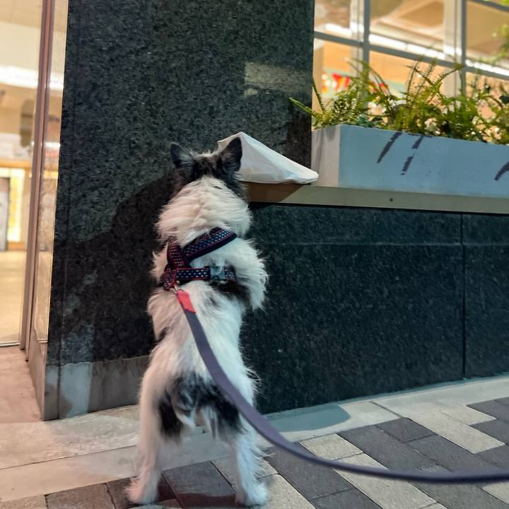 F4b19287 3304 4232 b073 23da8df5ccef 1678538311117