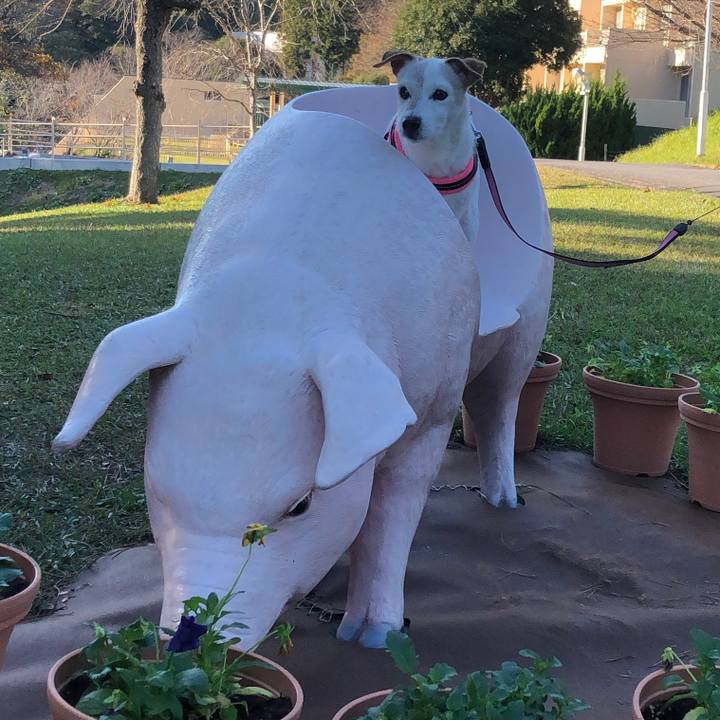 F4b1b5e6 7a62 4067 84b2 d1e5453dfbf0 1542446691393