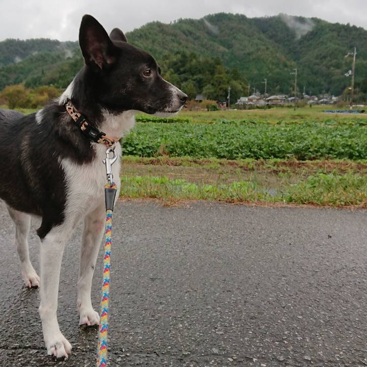 F4b1c921 539b 4a1e b42b 63fb6a37f99b 1538786786458