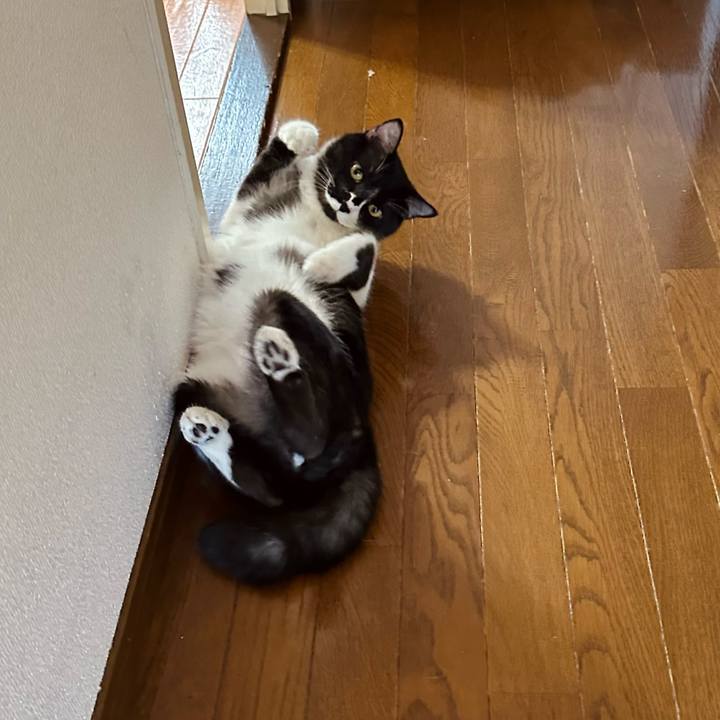 F4b1e133 5116 4bb7 98ed b1586831dadf 1753854154432