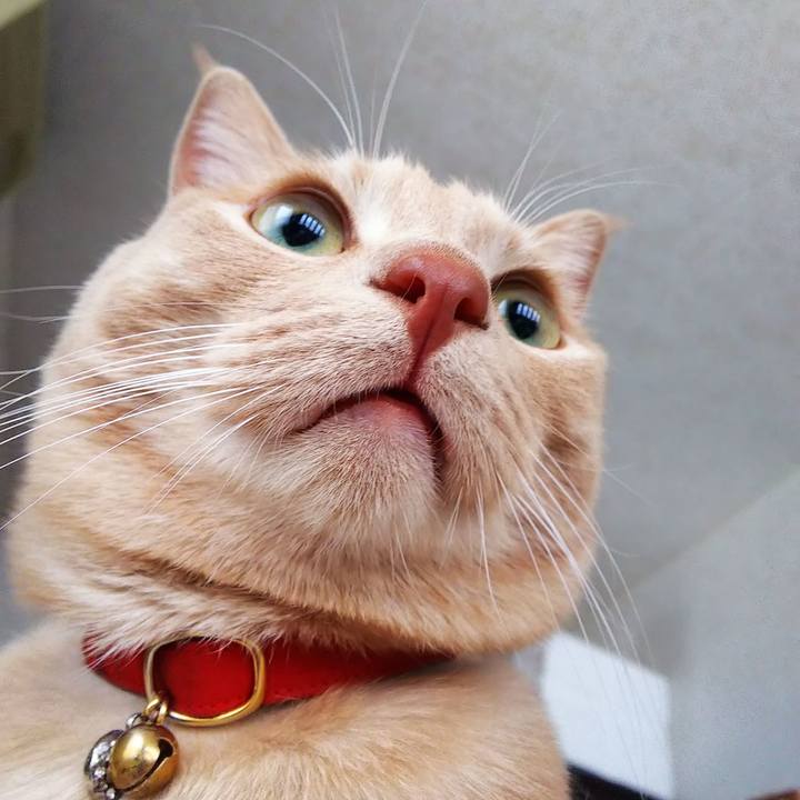 F4b1e73a fd26 4d0f bc51 72481708c440 1576364985639