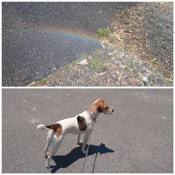 F4b1fc94 9f91 4ad6 bf59 f657817b217b 1591600167348