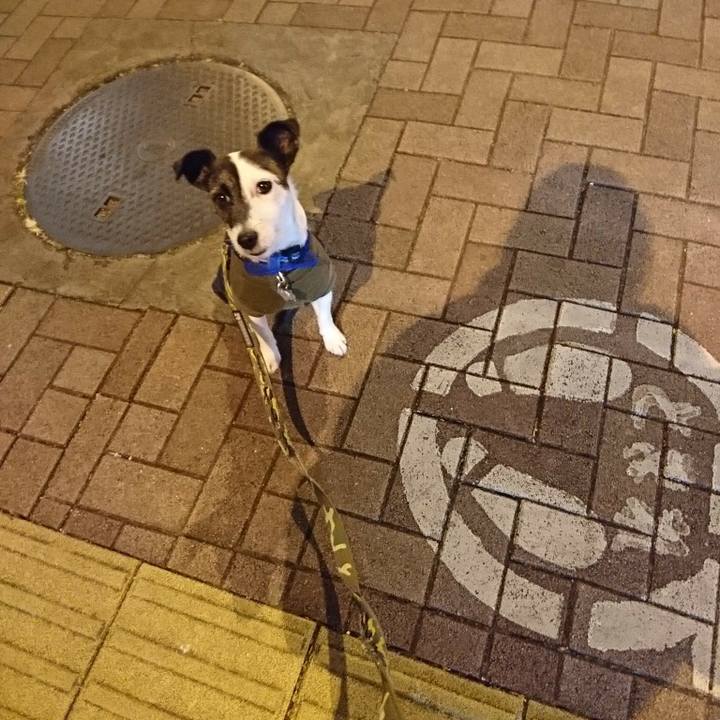 F4b21327 3af8 497f b9dc c102c355a201 1515234213827