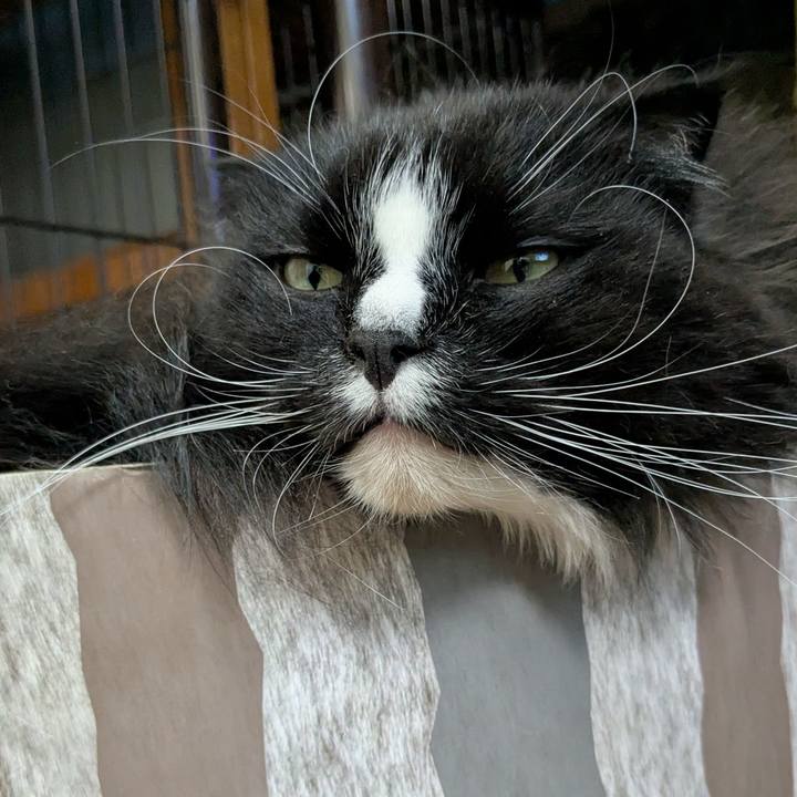 F4b223c0 9e07 4d09 a8f6 f4beed893da2 1745756836961