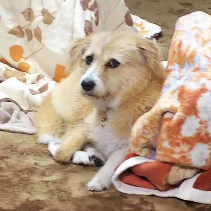 F4b263d2 35c9 4318 8604 642782580814 1546943524942