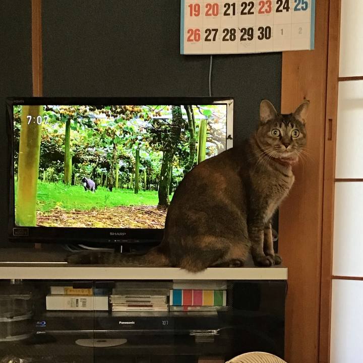 F4b28fa7 224a 4b41 ba5d 339bc10e7a6f 1632990058157