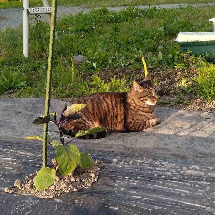 F4b2a0c8 7158 4342 9e47 4203c2c41ba8 1685439823585