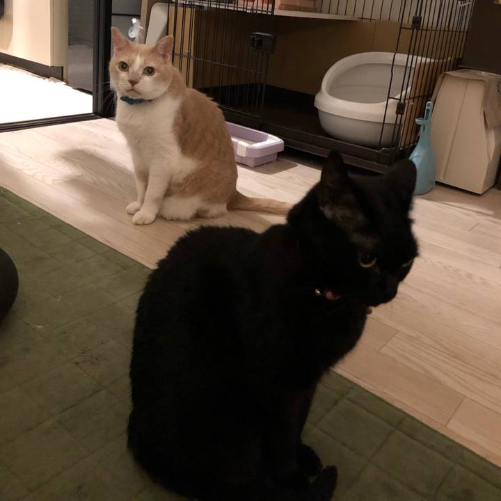 F4b31224 ecd4 4b56 915e 4f2eed260ed7 1626264218584