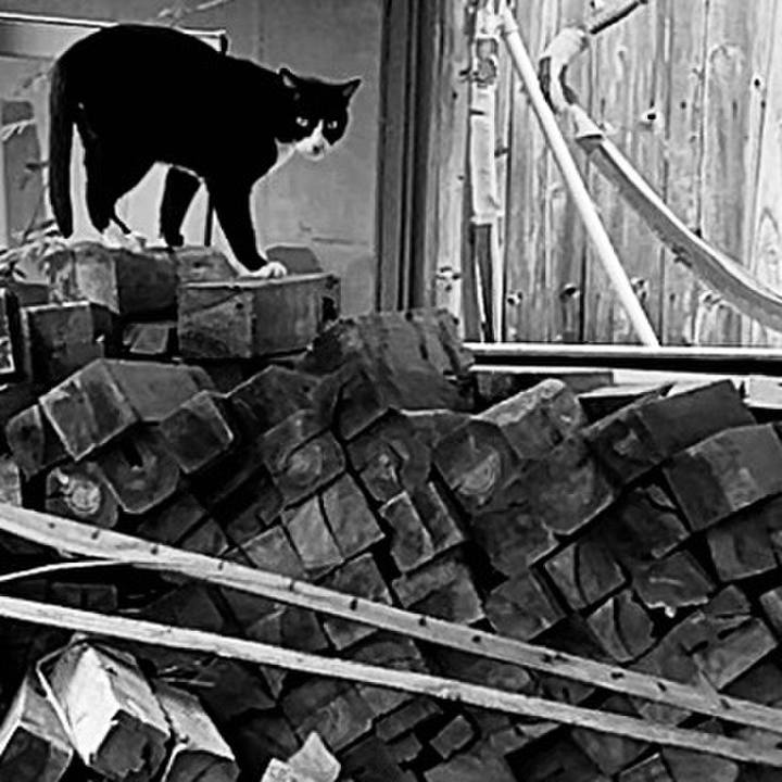 F4b32cb5 bc6d 417d ba33 6f4a84ccf09c 1729917675684