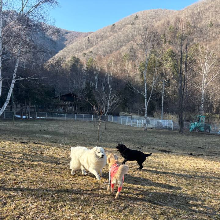 F4b372aa 4821 4ac6 9416 cb9ab18e1164 1774183432434