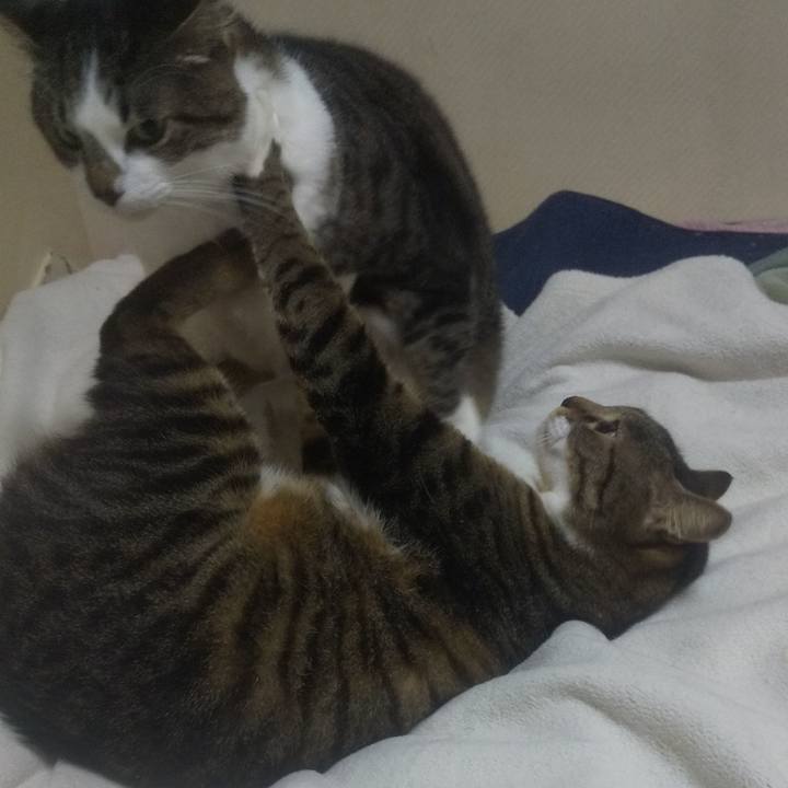 F4b39596 1afc 4017 922a 7256e1138f49 1740670432687