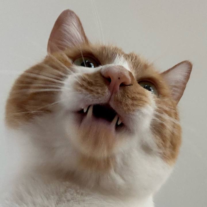 F4b396e3 8856 471d 89dc 2be308cc9022 1757387054900