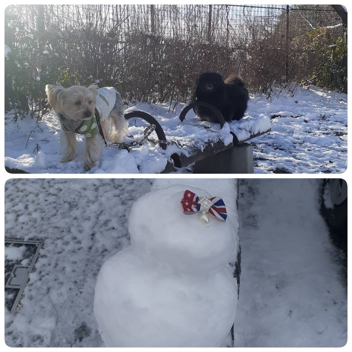 F4b3cb01 8cbc 4170 a9f6 7f1fba75cdf1 1674607426031