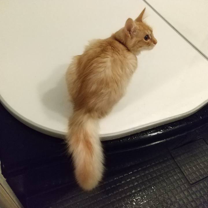 F4b3f2e0 fd31 49fe b40c 64688709794d 1611611194971