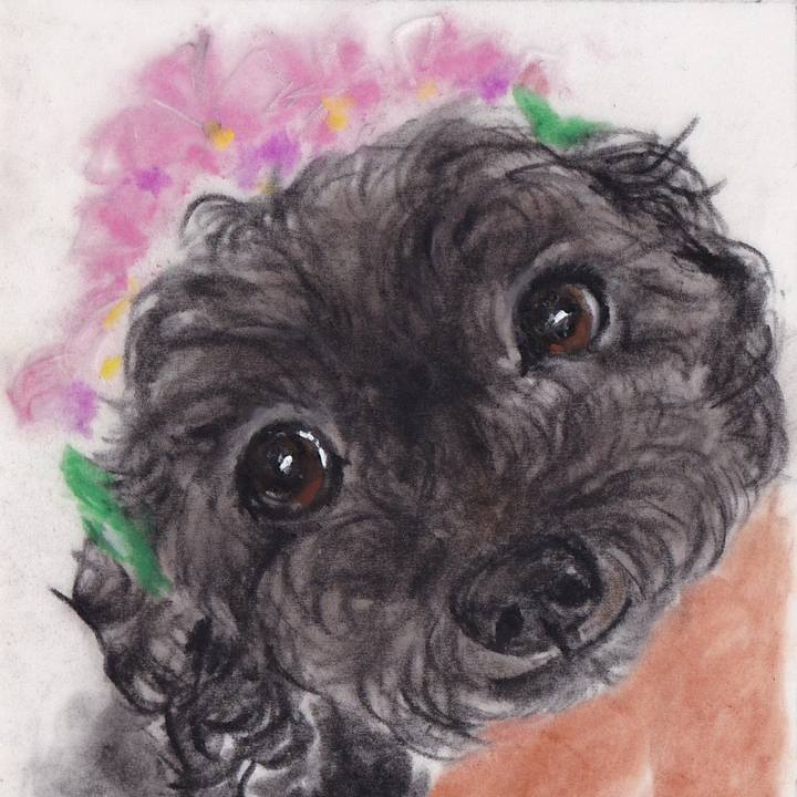 F4b425cd f315 4815 b6e4 dd1e38de89e0 1724937713016