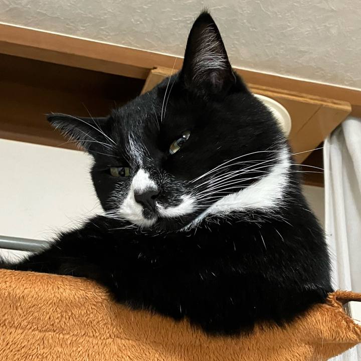 F4b43958 9321 4ff9 b603 630fb8fb9569 1677210749397