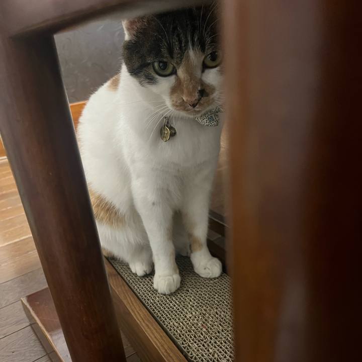 F4b43e85 2368 4aab b8dc a8385a792008 1767660865006