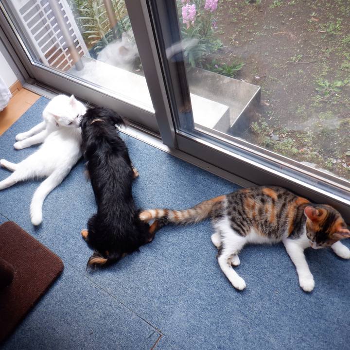 F4b48059 ced3 4cb7 9acd dc0a7aa8fbe7 1632361904185