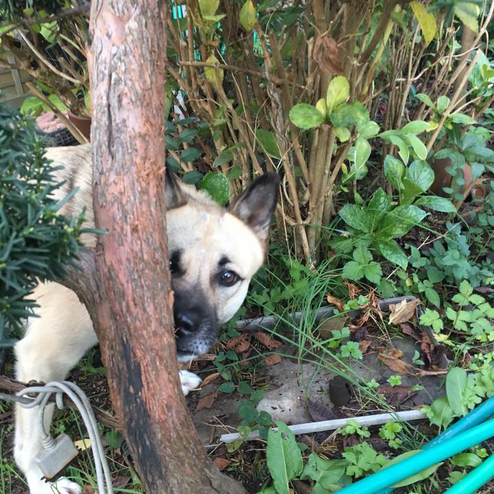 F4b50384 2473 44ce b477 e68aeadacd08 1510399372359