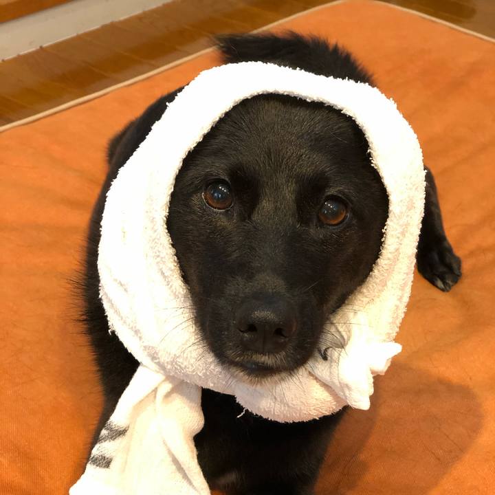 F4b522c0 fb87 4f46 8628 ff556f400f59 1594937324403