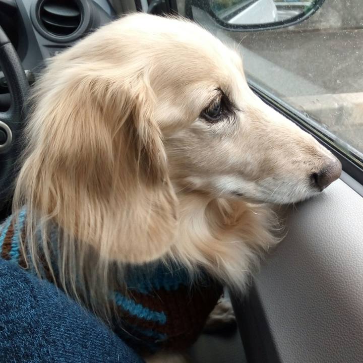 F4b530ff 9f9a 44e4 b3c4 b6a6341efed1 1546435802439