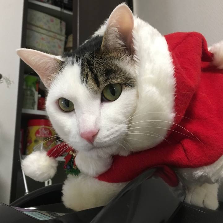 F4b54425 21d8 4bae 9d78 3c0e6cc8e26e 1514083958474