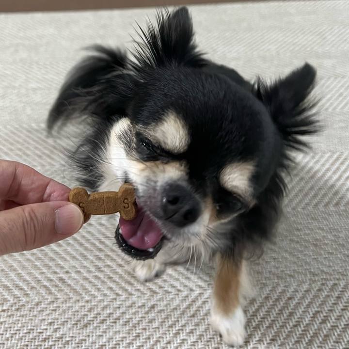 F4b56182 9731 4854 8685 e68a34f9b251 1688079570614