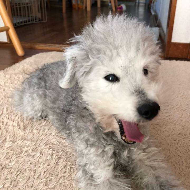 F4b59370 6c52 47bb 8a0e 0d943109ce9f 1581314132123