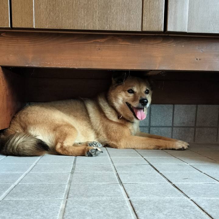 F4b59791 2020 4cf7 9619 b260b5968453 1720188803012