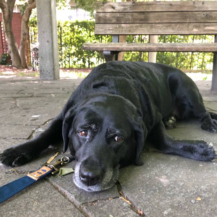 F4b5ada0 c0f6 4998 9d69 ee7ee34b6679 1557971977404