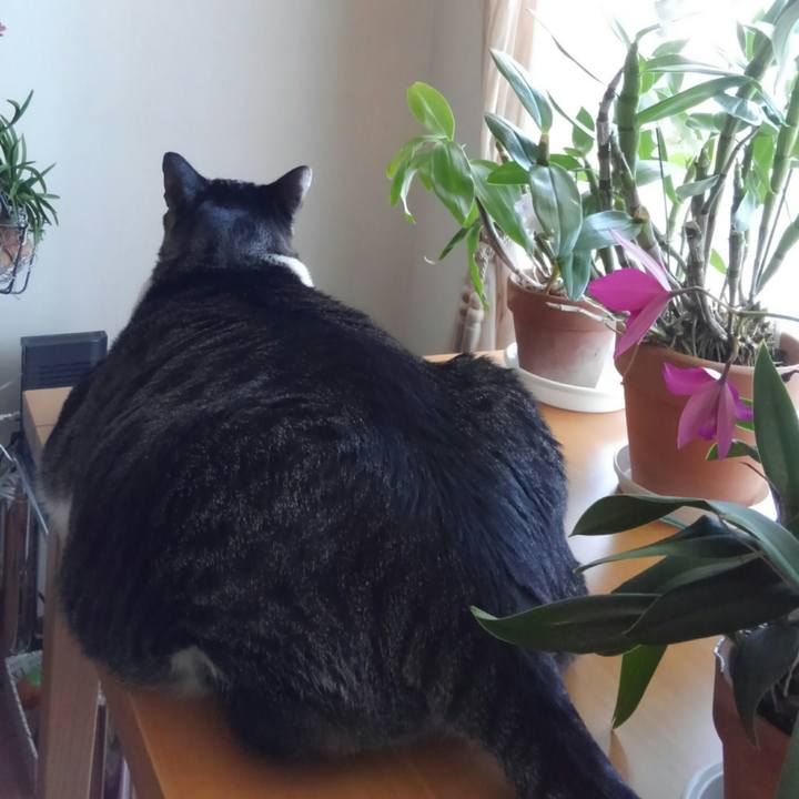 F4b5b85a dcab 45e8 b897 04573b43b623 1515895386390