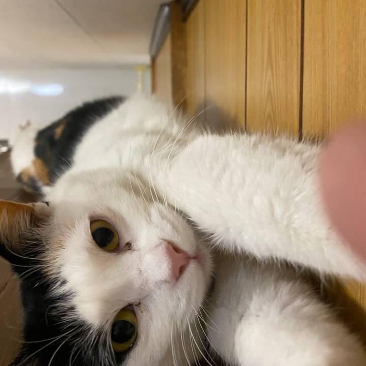 F4b5c9d4 31e7 4785 9685 6abb0ddd5893 1650114977125