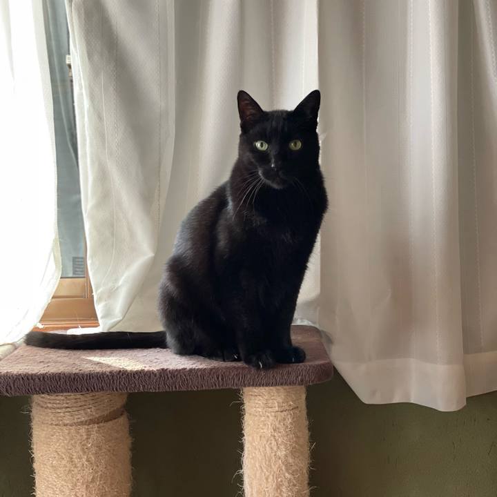 F4b5e64b 0128 44f0 98d5 2caae4334fe1 1639880210112