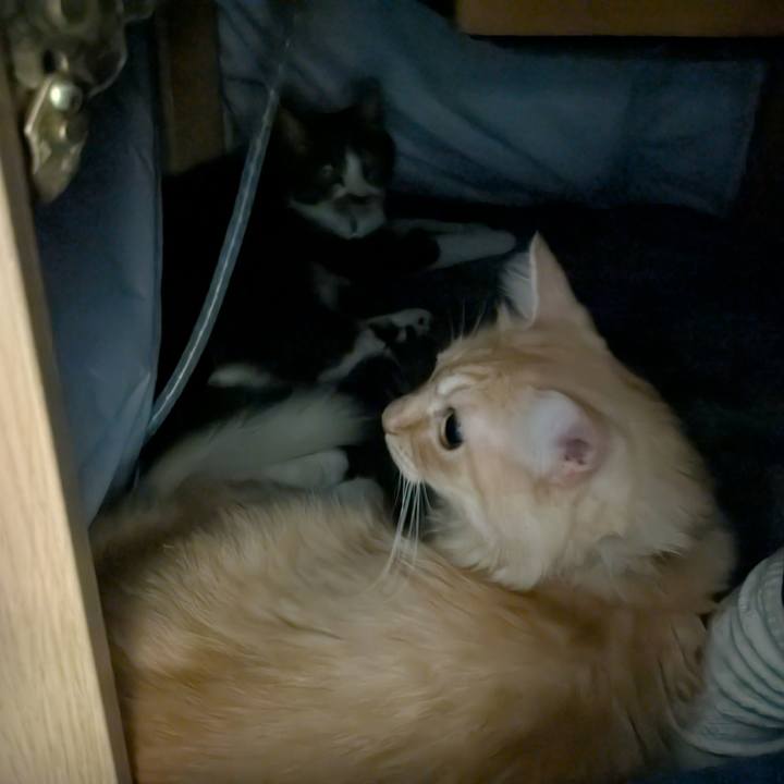 F4b5ea0e 87f6 4c61 9f6c dab046089e49 1732007818204