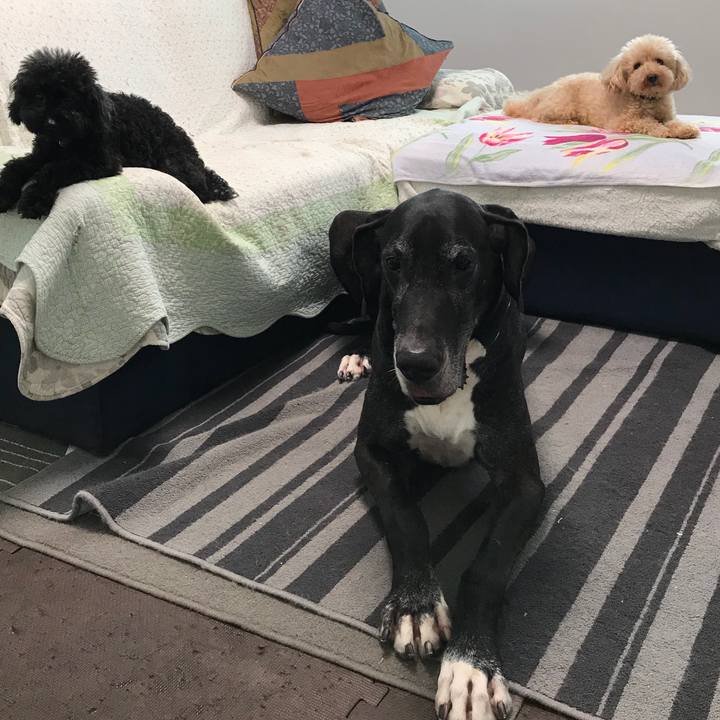 F4b5f202 11dd 4ebf 9ae1 9eb948c27a07 1536531682801